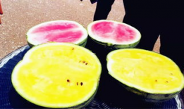 几年前安徽吃瓜爆料,一场引发热议的网络风云